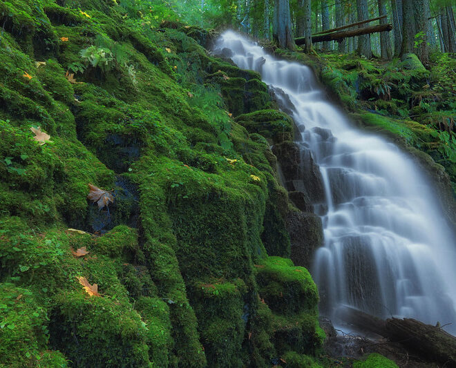 Huge Underground Aquifer Discovered Beneath Oregon’s Cascade Mountains